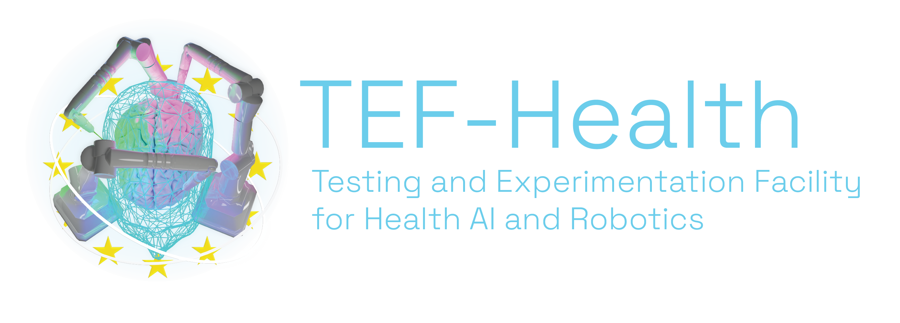 TEF Health Innovative Education